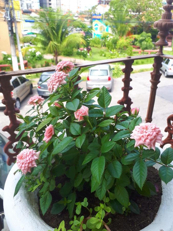 Casa da Josi - Pajuçara Apartment Maceio  Bagian luar foto
